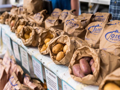 Warragul Farmers Market - Accommodation Whitsundays 2