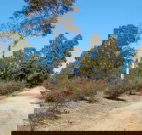 Werakata National Park - Accommodation Whitsundays