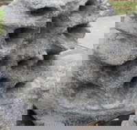 Windara Reef - Accommodation Whitsundays