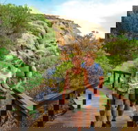 Woody Island Nature Reserve - Accommodation Whitsundays