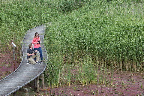 Bool Lagoon Game Reserve And Hacks Lagoon Conservation Park - Accommodation Whitsundays 2