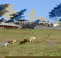 Calmsley Hill City Farm - Accommodation Whitsundays