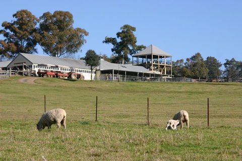 Calmsley Hill City Farm - Accommodation Whitsundays 0