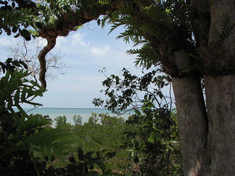 Channel Point Coastal Reserve - Accommodation Whitsundays 0