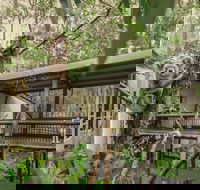 Daisy Hill Koala Centre - Accommodation Whitsundays