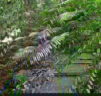 Falls walking track - Accommodation Whitsundays