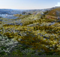 Gold Coast Hinterland Great Walk - Accommodation Whitsundays