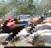 Haigslea EWE Nique Hobby Farm - Accommodation Whitsundays
