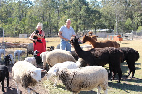 Haigslea EWE Nique Hobby Farm - Accommodation Whitsundays 0