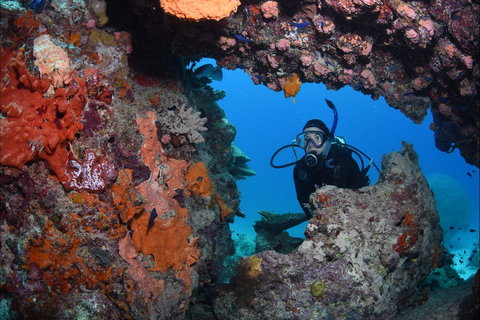 Heron Bommie - Accommodation Whitsundays 0