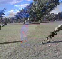 Inverell Golf Club - Accommodation Whitsundays