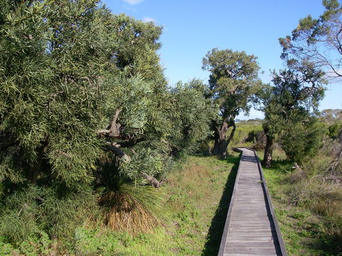 Kepwari Trails Wetland Wonderland - Accommodation Whitsundays 0