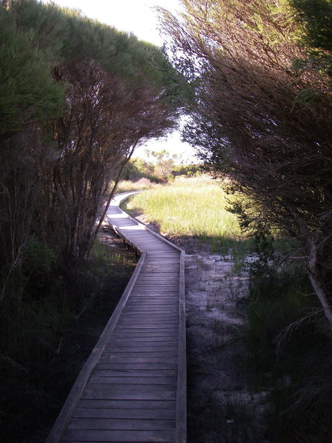Kepwari Trails Wetland Wonderland - Accommodation Whitsundays 1