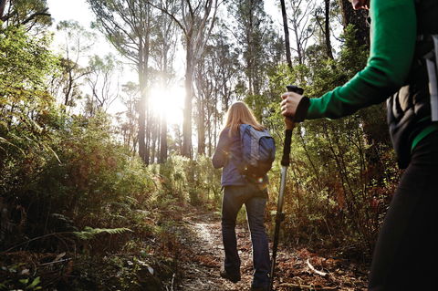 Kinglake National Park - Accommodation Whitsundays 0