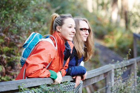 Kinglake National Park - Accommodation Whitsundays 2