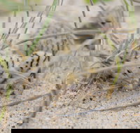 Manning Entrance State Park - Accommodation Whitsundays
