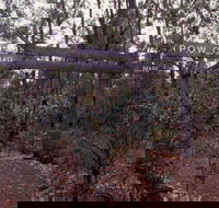 Marrinup Trail Dwellingup - Accommodation Whitsundays
