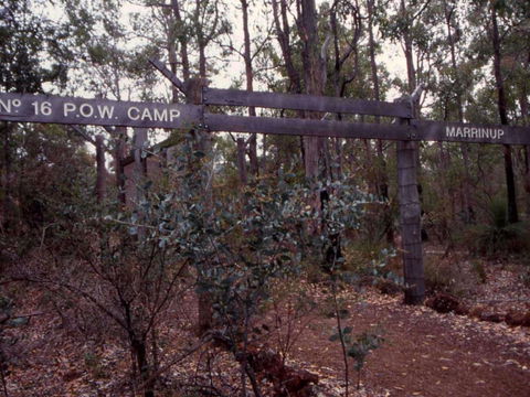 Marrinup Trail, Dwellingup - Accommodation Whitsundays 0