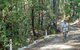 Monument Beach Ride From Bendalong - thumb 0