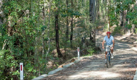Monument Beach Ride From Bendalong - Accommodation Whitsundays 0