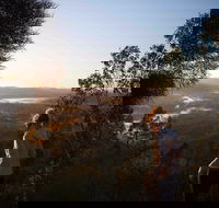 Mount Arthur Reserve - Accommodation Whitsundays