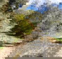Naracoorte North Nature Park - Accommodation Whitsundays