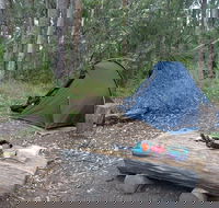 Northbrook Mountain Bush Camp - Accommodation Whitsundays