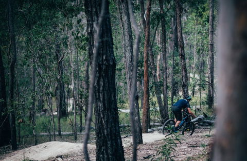 Old Tambo Downhill Mountain Bike Track - Accommodation Whitsundays 0