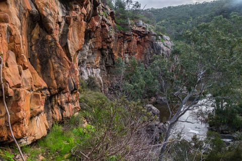 Onkaparinga River National Park - Accommodation Whitsundays 1