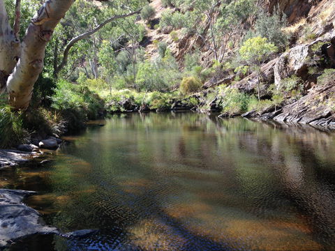Onkaparinga River National Park - Accommodation Whitsundays 2