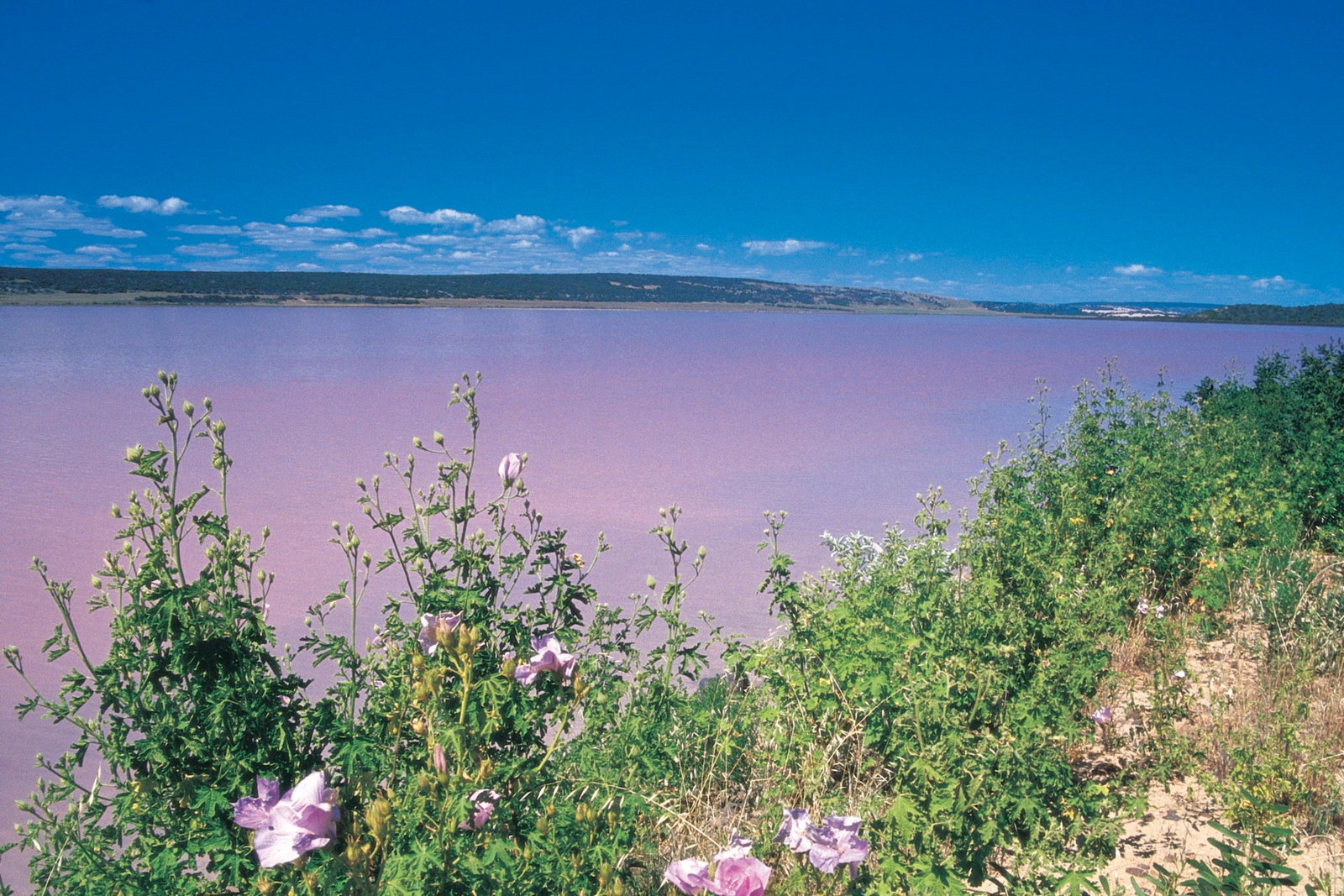 Gregory WA Accommodation Whitsundays