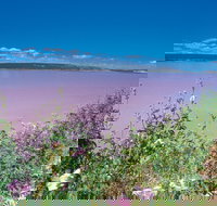 Port Gregory - Accommodation Whitsundays