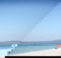 Rosebud and McCrae Bay Trail - Accommodation Whitsundays