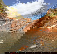 Serpentine - Accommodation Whitsundays