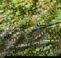 Tamborine Mountain - Accommodation Whitsundays