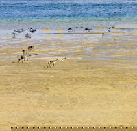 Towra Beach - Accommodation Whitsundays