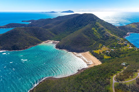Whale Watching On Keswick Island - Accommodation Whitsundays 1