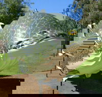 Big Murray Cod - Accommodation Whitsundays