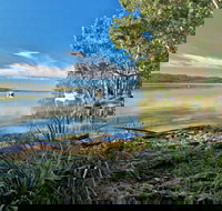Black Oaks Picnic Area - Accommodation Whitsundays