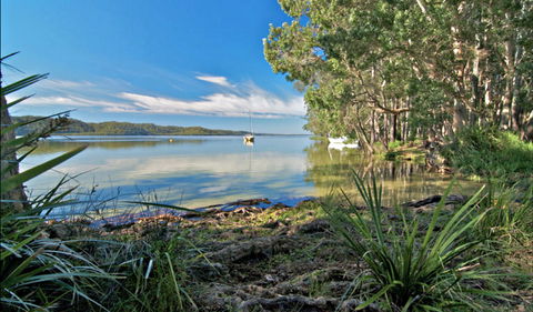 Black Oaks Picnic Area - Accommodation Whitsundays 0