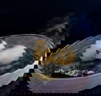 Bronwyn Clarke Ceramics - Accommodation Whitsundays