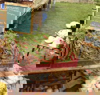 Burnie Farmers Market - Accommodation Whitsundays