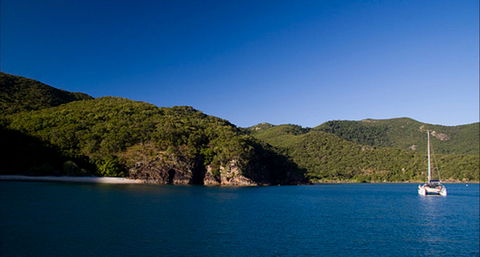 Butterfly Bay - Hook Island - Accommodation Whitsundays 0