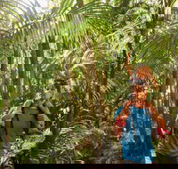 Canungra - Accommodation Whitsundays