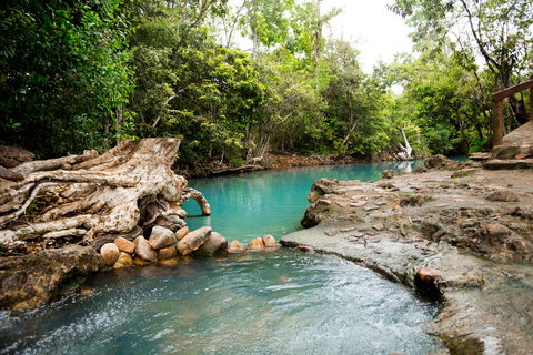 Cardwell Spa Pool - Accommodation Whitsundays 1