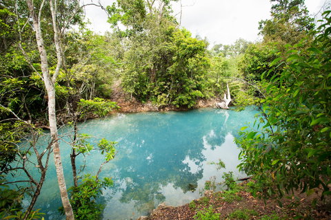 Cardwell Spa Pool - Accommodation Whitsundays 2