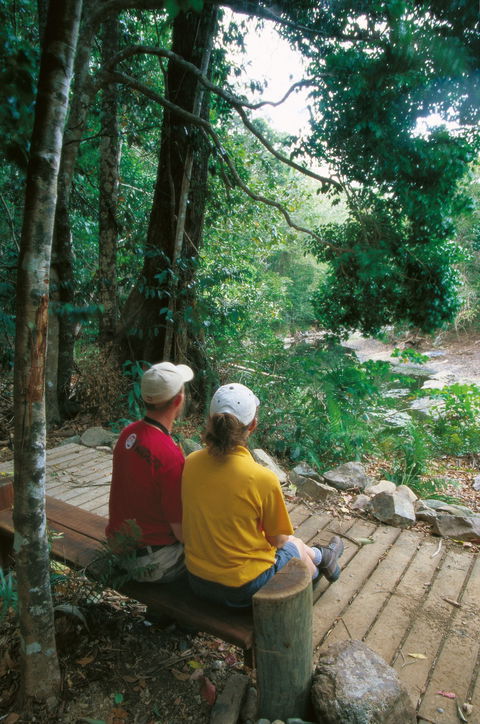 Cedar Creek Falls - Accommodation Whitsundays 1