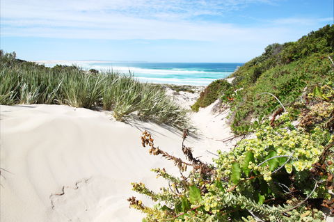 Coffin Bay National Park - Accommodation Whitsundays 1