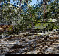 Couridjah Corridor Walk - Accommodation Whitsundays