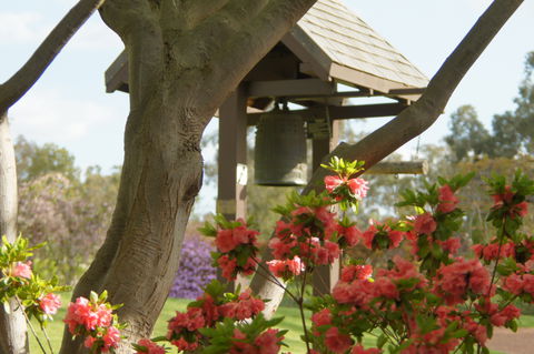 Cowra Japanese Garden And Cultural Centre - Accommodation Whitsundays 1